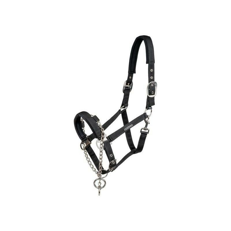 Kantar Pro Safety Waldhausen