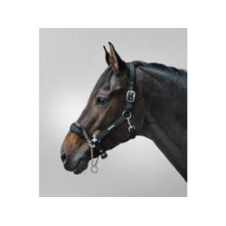 Kantar Pro Safety Waldhausen