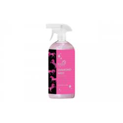Zestaw Biotin Max i Odżywka Shining Vital Black Horse