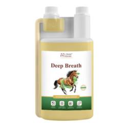 Deep Breath 1l Over Horse