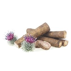 EQUIHERBS ŁOPIAŃ KORZEŃ 1KG