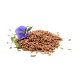 EQUIHERBS SIEMIĘ LNIANE