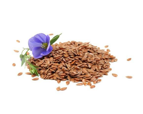 EQUIHERBS SIEMIĘ LNIANE