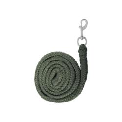 Uwiąz ze zwykłym karabińczykiem Waldhausen