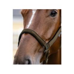 Kantar Athletic Waldhausen