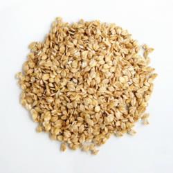 Jęczmień mikronizowany - NuVena Sunburnt  Barley - 20kg