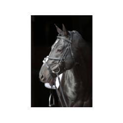 Ogłowie dla konia Cancun, Covalliero