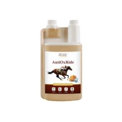 AntiOxRIde 1L Over Horse