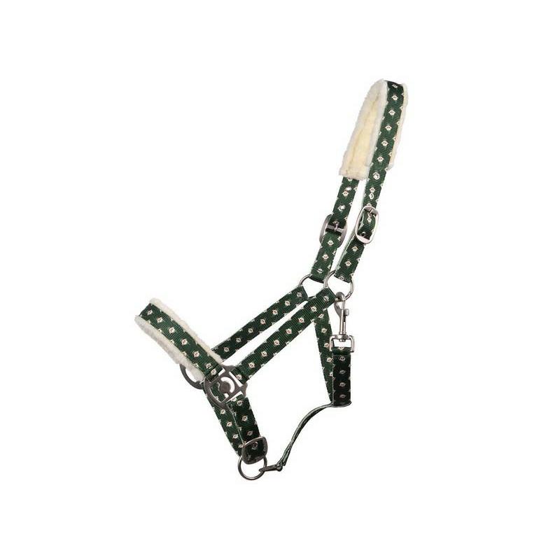 Kantar QHP "Christmas Elf"