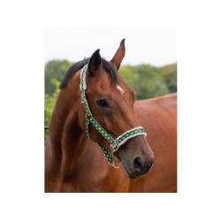 Kantar QHP "Christmas Elf"