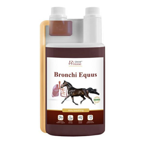 Bronchi Equus 1L  Over Horse