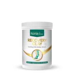 HorseLinePRO Recovery Clay - glinka       regeneracyjna do ścięgien 1000g