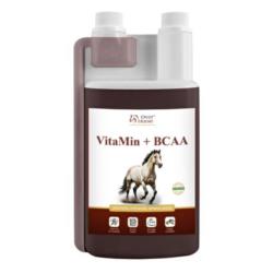 VitaMin + BCAA 1l   Over Horse