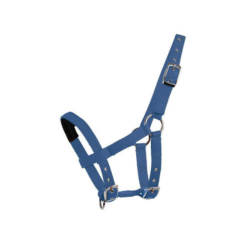 Kantar Waldhausen "Mini Shetty"