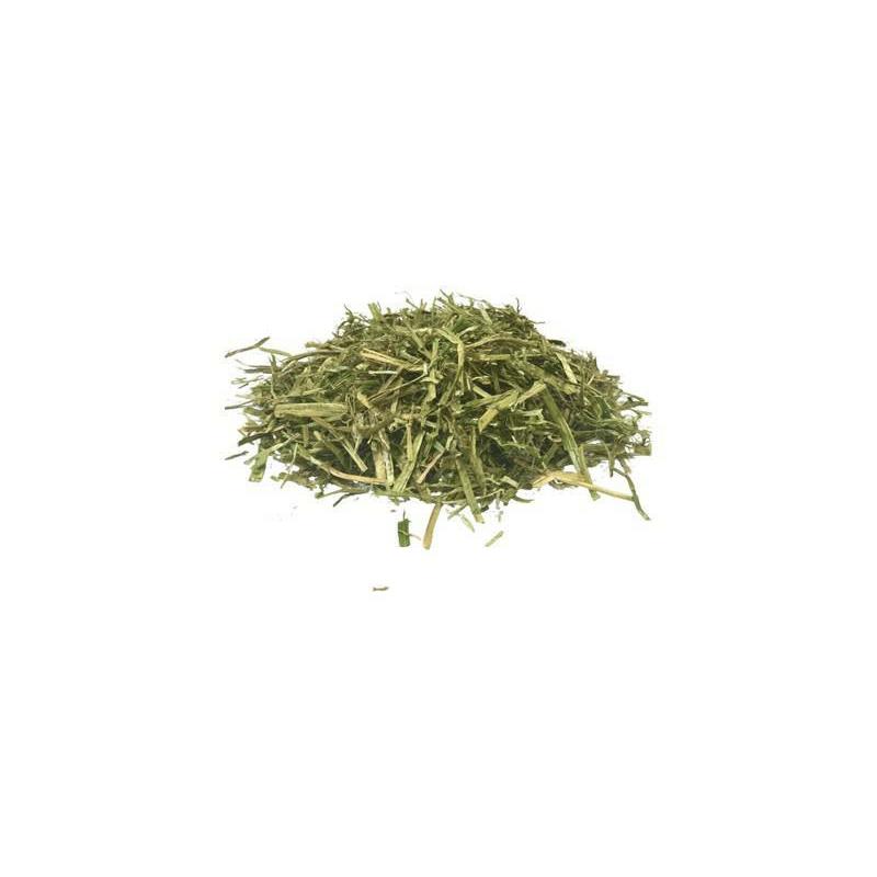 ALFALFA Gastro- Sieczka z lucerny z dodatkiem oleju kukurydzianego 22kg, Eggersmann ALFALFA Gastro- Sieczka z lucerny z dodatkiem oleju kukurydzianego 22kg, Eggersmann