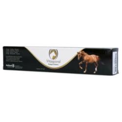 Vitasporal Horse - zastrzyk energetyczny  Holland Animal Care
