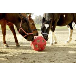 Piłka do zabawy dla konia HeuBoy, 40 cm,  Kerbl